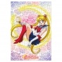  "Sailor Moon" Sailor Moon ( A3, 252 )