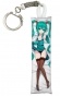    Vocaloid Hatsune Miku