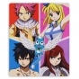 ������ ��� ����� Fairy Tail 310050