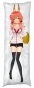 ��������� ���������� �� ������� ��������� Fate/Extra