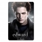 ������ ��������� ������������� Twilight 351901