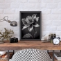     - Black & White Flowers