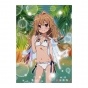   Toradora! - Taiga Aisaka Swimsuit Ver.