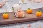   The Legend of Hei: Wagashi 6 Pack BOX