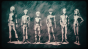    / Devil's Line [HD]