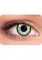      "Colors Eye Free Carnival" D Green