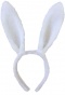 ���� ������� �������� ����� "Rabbit Collection"