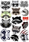   Raccoons Faces