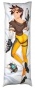 ��������� ���������� �� ������� ��������� Tracer �� Overwatch