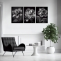     - Black & White Flowers