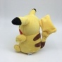 ������ ������� Pokemon (18��)