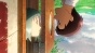 Patema Inverted ( ) HD