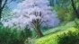 Miyori no Mori ( ) HD
