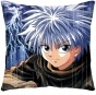  Hunter x Hunter PW49884
