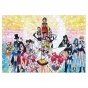  Bishoujo Senshi Sailor Moon / -      ( A3, 252 
