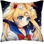  Sailor Moon PW66026
