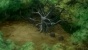   / Night Wizard The Animation [13  13] DVD (480p)
