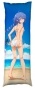 ��������� ���������� Eris � Roxy / ������������ ������������
