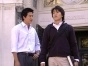     / Love Story in Harvard