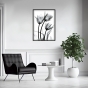     - X-Ray Flowers