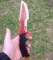    CS:GO  