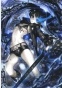      / Black Rock Shooter