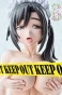  Tsunpuri Aishite Ohimesana - Gohoushi Maid Diana 1/4 Polyresin Figure