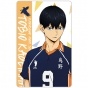 ������ ������������� Haikyu!! To The Top - Kageyama Tobio