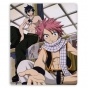 ������ ��� ����� Fairy Tail 310051