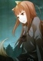 ������ �������� � ����� Spice and Wolf