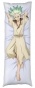 ���������� � �������� Dr. Stone - Ishigami Senkuu