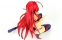 High School DxD - Rias Gremory Premium ver.