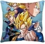  Dragon Ball PW43844