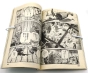      Vinland Saga  