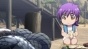 :   / Magi: Sinbad no Bouken [12  12]