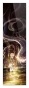 �������� Mushishi Yoki Ginko Night