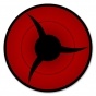      No.7