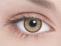      "ADRIA Two-Color" Elegant Brown