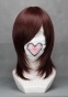 ������� ����� Vocaloid - Meiko / Vampire Knight - Kuran Yuuki