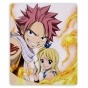    Fairy Tail 34929