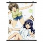������� �������� Seishun Buta Yarou Shouko Makinohara � Tomoe Koga