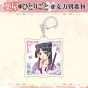 ������ �� ����� Diaries Maomao acrylic key � ������������