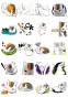������� ��������� Natsume Yuujinchou No.1