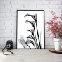     - X-Ray Flowers