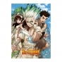   "Dr. Stone" Senkuu, Taiju,  Yuzuriha