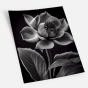     - Black & White Flowers