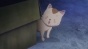     / Mahou Shoujo Site [HD]