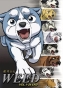 Ginga Densetsu Weed (    ) MPEG4