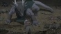 The Beast Player Erin (  ) MPEG4