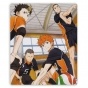 ������ ��� ����� Haikyuu!! 310923